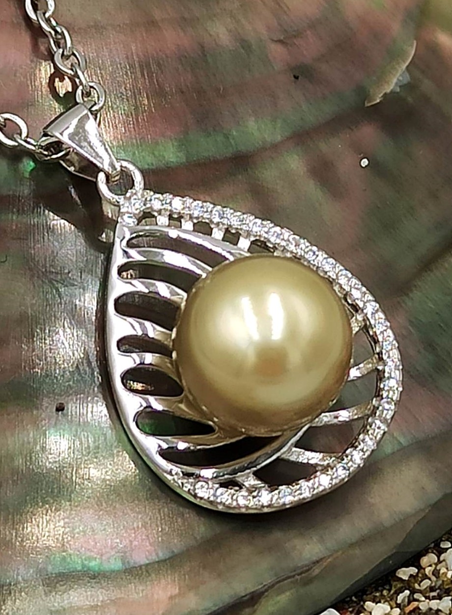 328003128_740478807683382_3559412393310365940_n